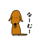 ダックス犬・タロ3（個別スタンプ：8）
