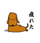 ダックス犬・タロ3（個別スタンプ：11）