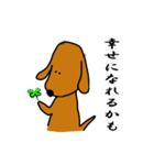 ダックス犬・タロ3（個別スタンプ：16）