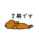 ダックス犬・タロ3（個別スタンプ：18）