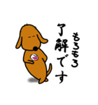 ダックス犬・タロ3（個別スタンプ：19）