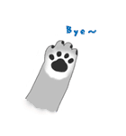 Schnauzer-Roudia（個別スタンプ：5）