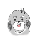 Schnauzer-Roudia（個別スタンプ：6）