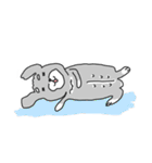 Schnauzer-Roudia（個別スタンプ：8）