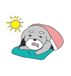 Schnauzer-Roudia（個別スタンプ：10）