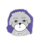 Schnauzer-Roudia（個別スタンプ：13）