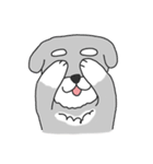Schnauzer-Roudia（個別スタンプ：16）