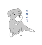 Schnauzer-Roudia（個別スタンプ：21）