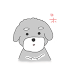 Schnauzer-Roudia（個別スタンプ：25）