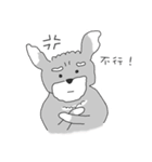 Schnauzer-Roudia（個別スタンプ：31）