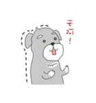 Schnauzer-Roudia（個別スタンプ：32）