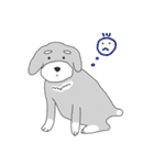 Schnauzer-Roudia（個別スタンプ：36）