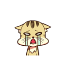 とらやん（個別スタンプ：14）