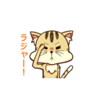 とらやん（個別スタンプ：15）