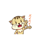 とらやん（個別スタンプ：16）
