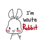 Momo I'm White Rabbit V1（個別スタンプ：38）