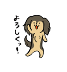 ゆるいぬダックス＆ハムスター（個別スタンプ：3）