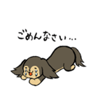 ゆるいぬダックス＆ハムスター（個別スタンプ：16）