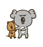 Koala Mr. K（個別スタンプ：2）