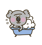 Koala Mr. K（個別スタンプ：10）