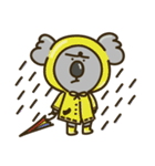 Koala Mr. K（個別スタンプ：16）