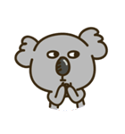 Koala Mr. K（個別スタンプ：21）
