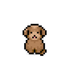 ドット絵プードル最高（個別スタンプ：1）
