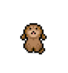 ドット絵プードル最高（個別スタンプ：4）