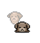 ドット絵プードル最高（個別スタンプ：7）