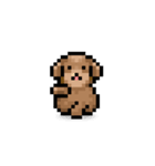 ドット絵プードル最高（個別スタンプ：9）