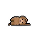 ドット絵プードル最高（個別スタンプ：11）