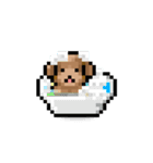 ドット絵プードル最高（個別スタンプ：13）