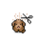 ドット絵プードル最高（個別スタンプ：15）