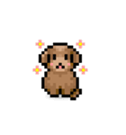 ドット絵プードル最高（個別スタンプ：16）