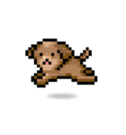 ドット絵プードル最高（個別スタンプ：18）