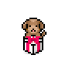 ドット絵プードル最高（個別スタンプ：20）