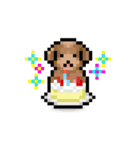ドット絵プードル最高（個別スタンプ：22）