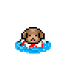 ドット絵プードル最高（個別スタンプ：24）