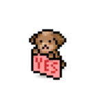 ドット絵プードル最高（個別スタンプ：30）