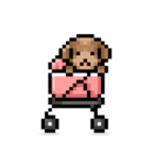 ドット絵プードル最高（個別スタンプ：34）