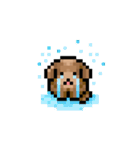 ドット絵プードル最高（個別スタンプ：36）
