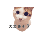 Oyaji neco（個別スタンプ：5）