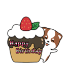 柴犬の誕生日お祝いスタンプ（個別スタンプ：1）