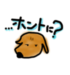 わんこスタンプ・ダックス普段使い（個別スタンプ：4）