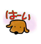 わんこスタンプ・ダックス普段使い（個別スタンプ：13）