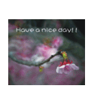 The beautiful cherry blossoms（個別スタンプ：17）