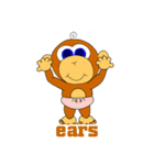GenkiEnglish Baby Monkey Family（個別スタンプ：13）