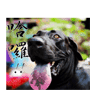 The Dogs from Longyeh Taiwan Dogs' House（個別スタンプ：1）