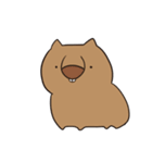 ウォンバット肉尾（個別スタンプ：16）