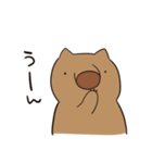ウォンバット肉尾（個別スタンプ：34）